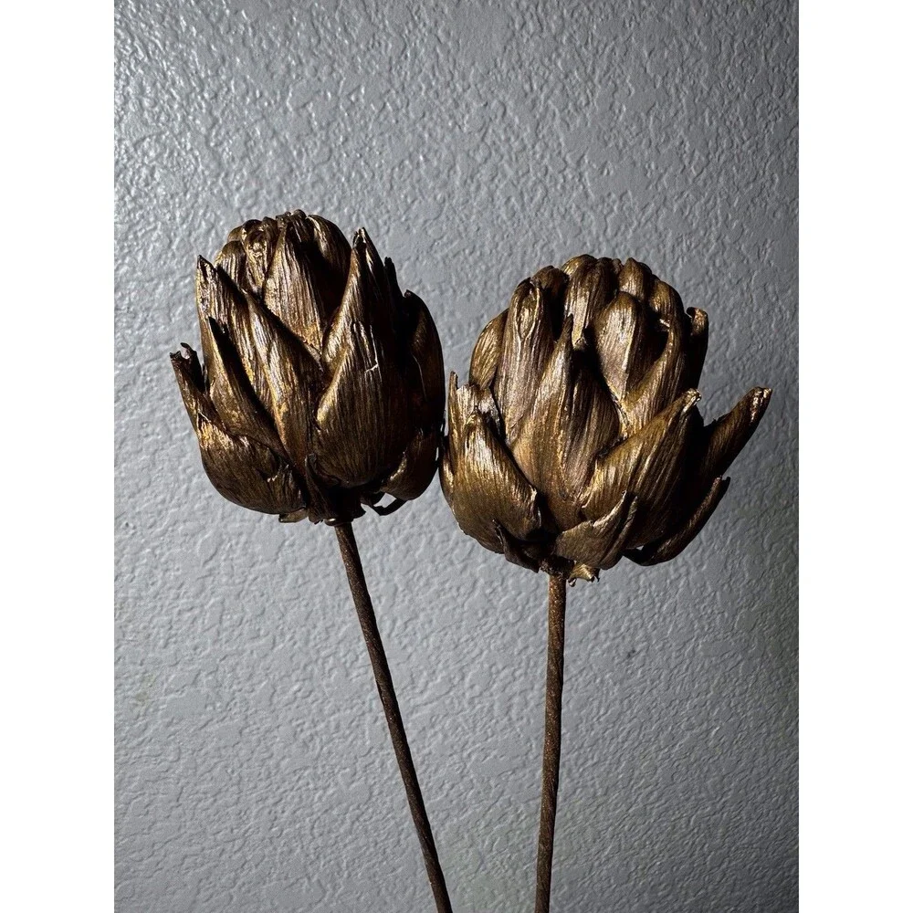 Floral Stems Dried Artichoke-Set Of 6